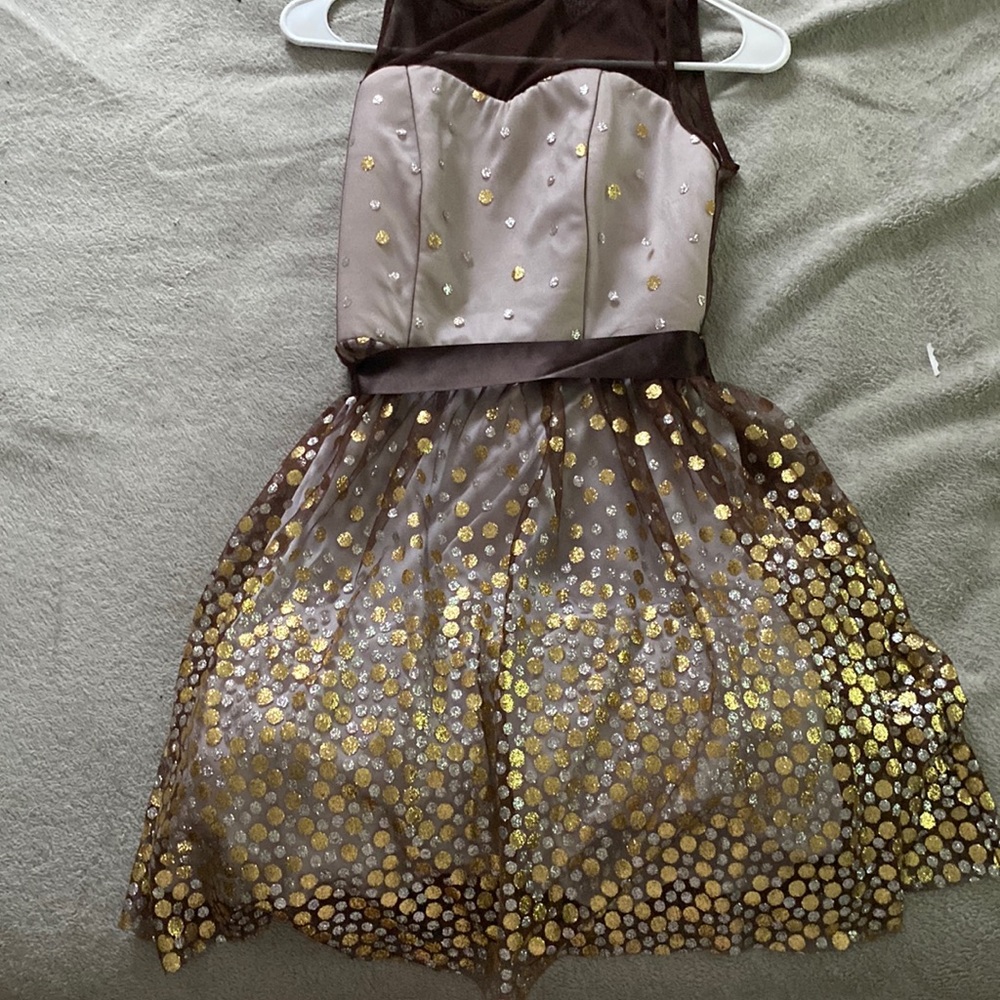 brown dress with sparkly gold and silver accents